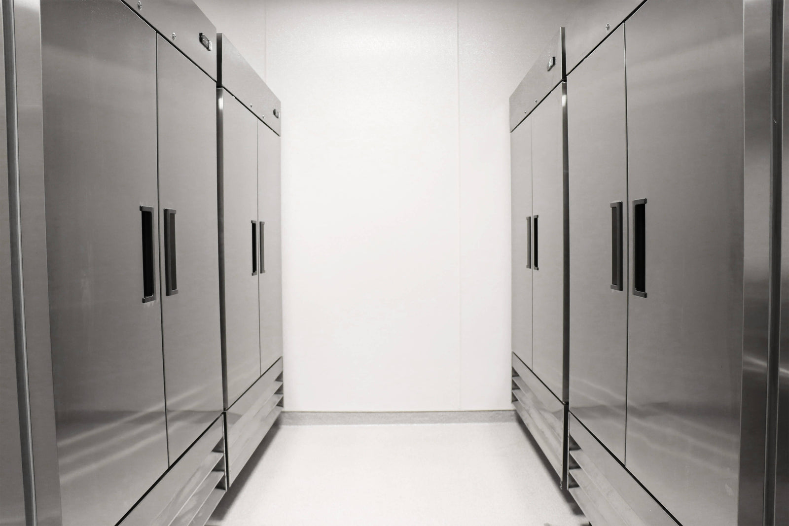 Unlocking Efficiency and Storage with Our Reach-In Freezers