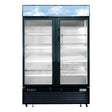 Frigos FGA-MGDF-2D-40 39 Two Glass Door Black Steel Exterior Freezer Merchandiser 29 Cu. Ft.