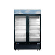 Frigos FGA-MGDF-2D-54 54 Two Glass Door Black Steel Exterior Freezer Merchandiser 44 Cu. Ft.